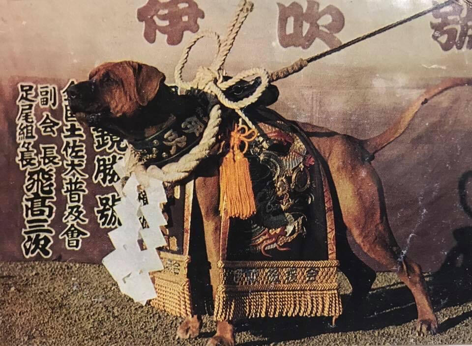 Ibuki-Go
