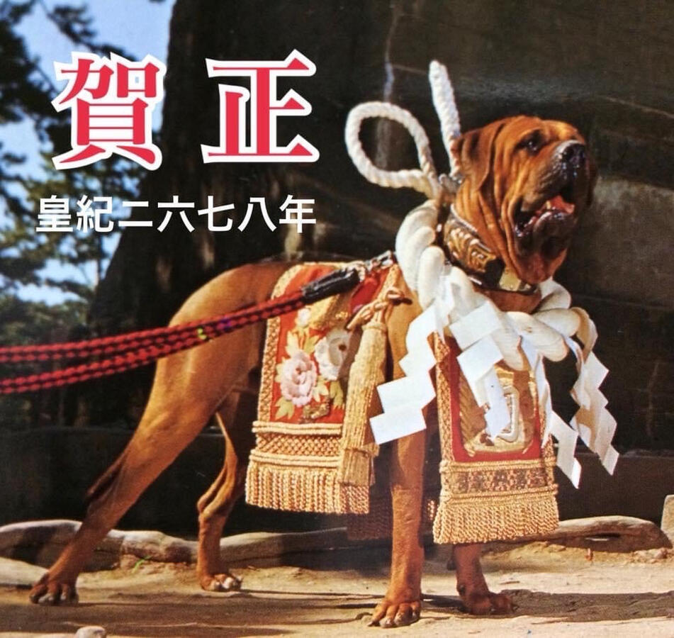 Tosashi-Go